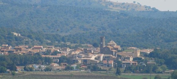 1603m² Land in Garriguella, Spain No. 73543 14