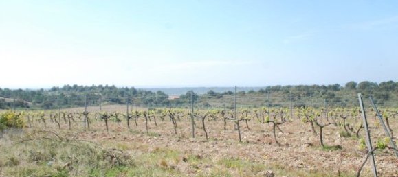 1603m² Land in Garriguella, Spain No. 73543 12