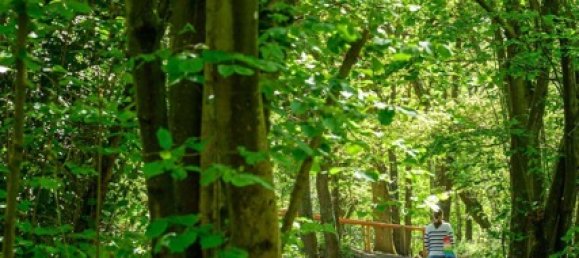 Casa de 3 dormitorios en Fleet, United Kingdom No. 3460 24