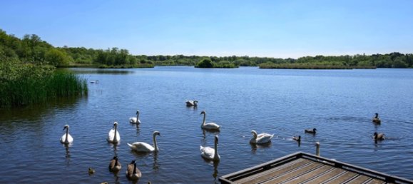 Casa de 3 dormitorios en Fleet, United Kingdom No. 3460 23