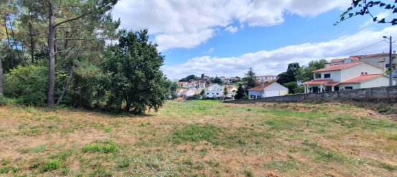 Grundstück in Coimbra, Portugal 5747m², Nr. 239179 7