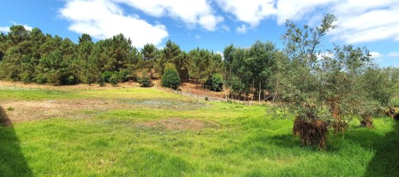 Grundstück in Coimbra, Portugal 5747m², Nr. 239179 12