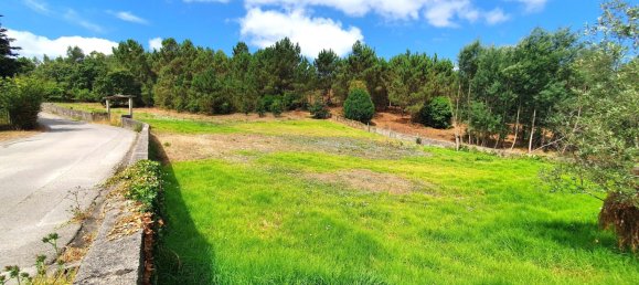 Grundstück in Coimbra, Portugal 5747m², Nr. 239179 14