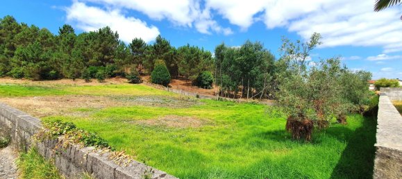 Grundstück in Coimbra, Portugal 5747m², Nr. 239179 8