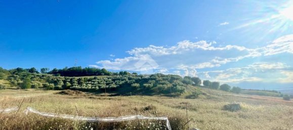 Terrain à Moscufo, Italy 30000m² No. 279465 3