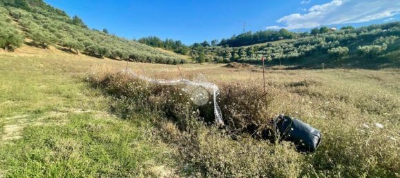 Terrain à Moscufo, Italy 30000m² No. 279465 19