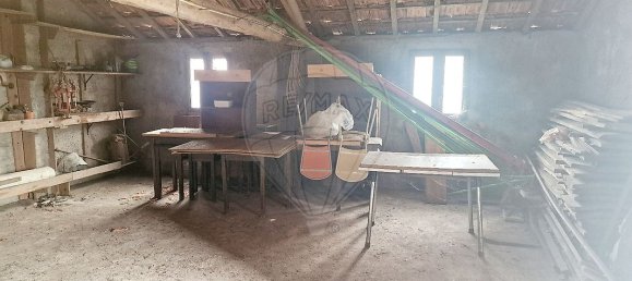 Casa de 6 dormitorios en Mortagua, Portugal No. 19074 37