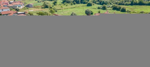 Casa de 6 dormitorios en Mortagua, Portugal No. 19074 18