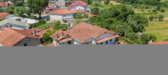 Casa de 6 dormitorios en Mortagua, Portugal No. 19074 19