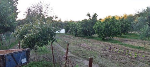 Propiedad comercial de 4 dormitorios en Zakynthos, Greece No. 586 8