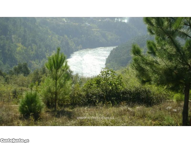 1125m² Land in Marco de Canaveses, Portugal No. 57202