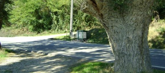 1125m² Land in Marco de Canaveses, Portugal No. 57202 3