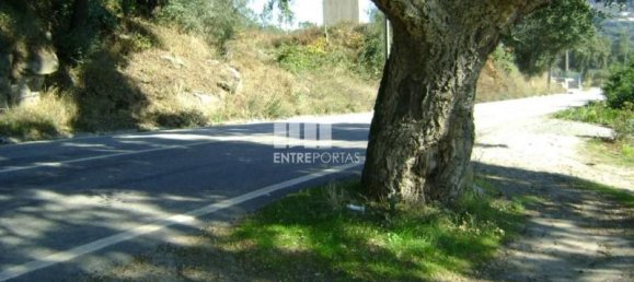 1125m² Land in Marco de Canaveses, Portugal No. 57202 4