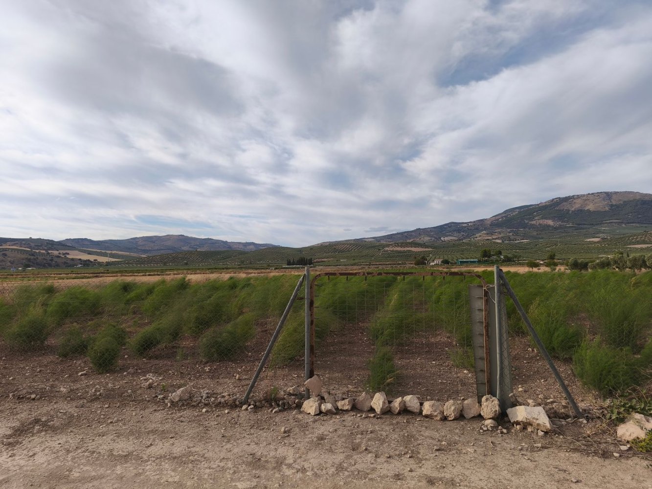  Land in Granada, Spain No. 194884