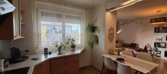 3-Zimmer Wohnung in Winden am See, Austria, Nr. 172974 5