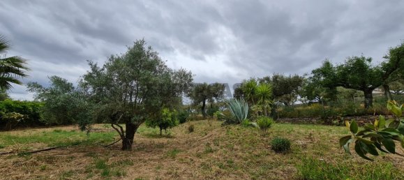 Casa de 3 dormitorios en Penha Garcia, Portugal No. 160299 15