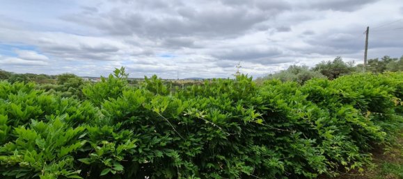 Casa de 3 dormitorios en Penha Garcia, Portugal No. 160299 18