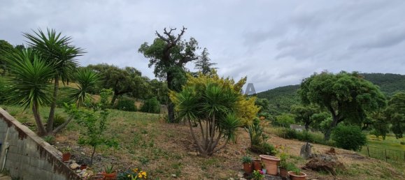 Casa de 3 dormitorios en Penha Garcia, Portugal No. 160299 20