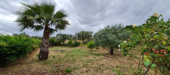 Casa de 3 dormitorios en Penha Garcia, Portugal No. 160299 16