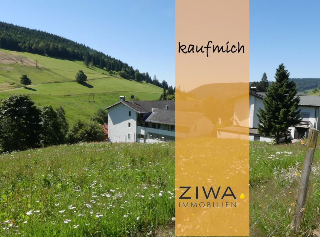 Studio in Lorrach, Germany No. 231314