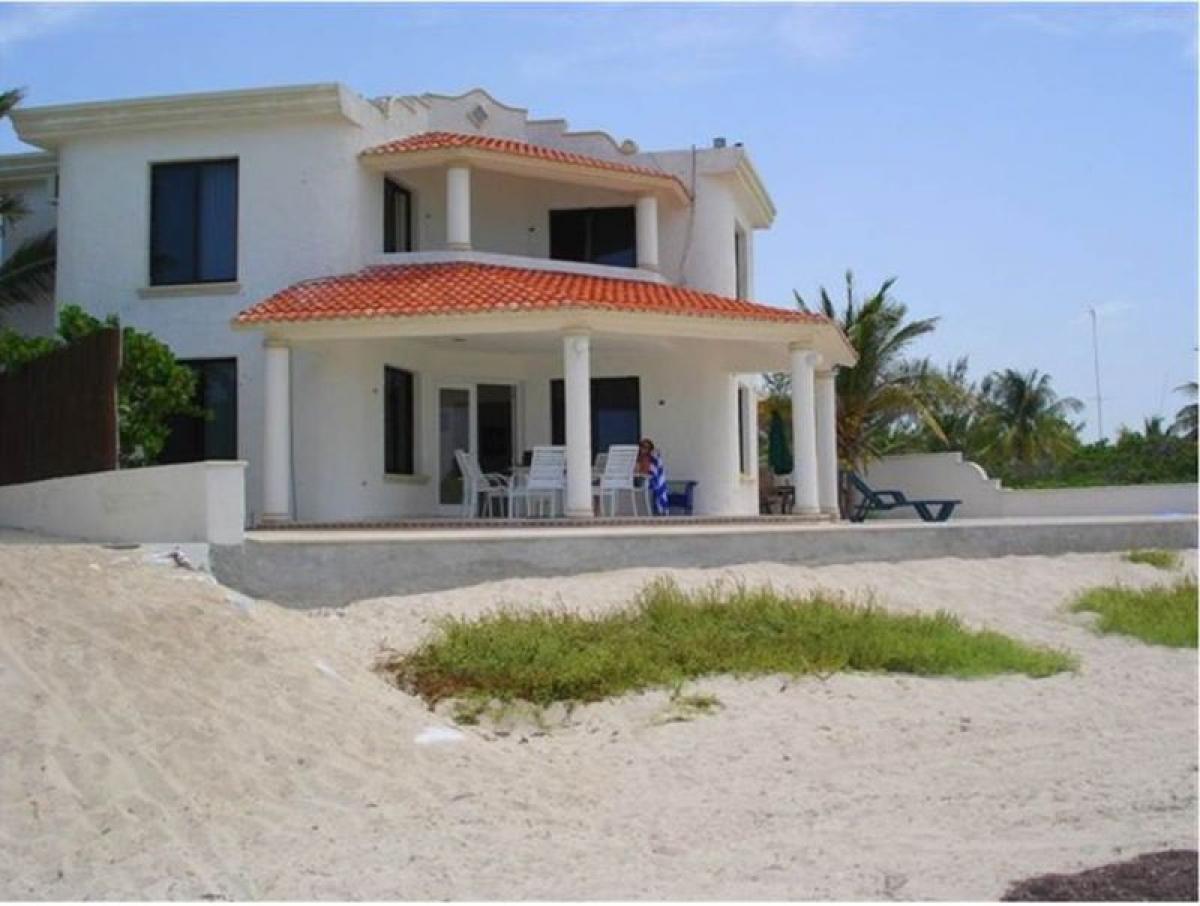 2 bedrooms House in Yucatan, Mexico No. 151116