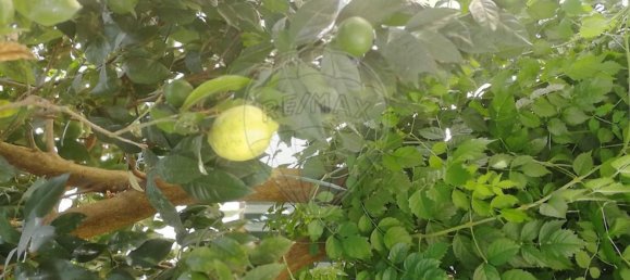 6 bedrooms House in Quinta do Conde, Portugal No. 176965 34