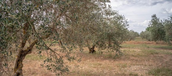 Terrain à Las Gabias, Spain 15m² No. 168892 5