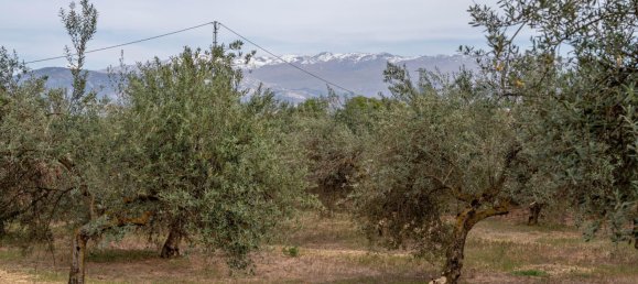 Terrain à Las Gabias, Spain 15m² No. 168892 39