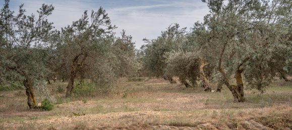 Terrain à Las Gabias, Spain 15m² No. 168892 4