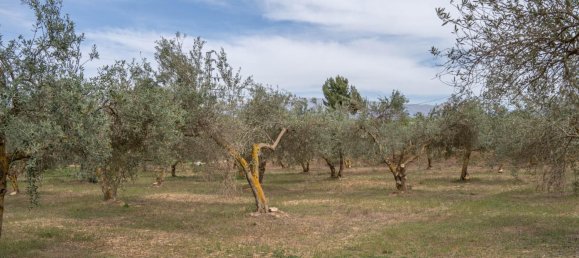 Terrain à Las Gabias, Spain 15m² No. 168892 49