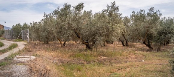 Terrain à Las Gabias, Spain 15m² No. 168892 11