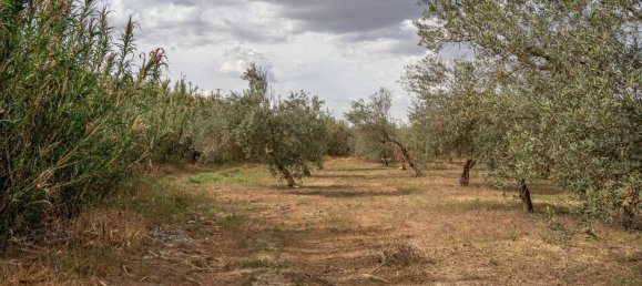 Terrain à Las Gabias, Spain 15m² No. 168892 26
