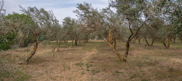 Terrain à Las Gabias, Spain 15m² No. 168892 44