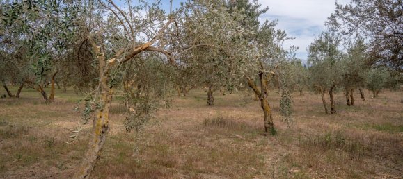 Terrain à Las Gabias, Spain 15m² No. 168892 45