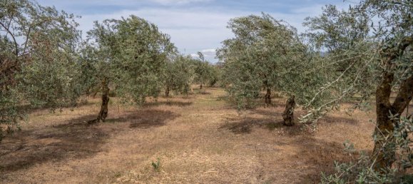 Terrain à Las Gabias, Spain 15m² No. 168892 31