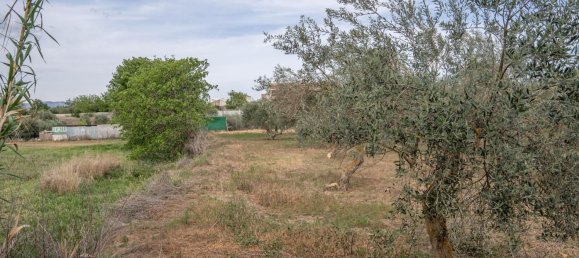 Terrain à Las Gabias, Spain 15m² No. 168892 46