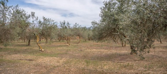 Terrain à Las Gabias, Spain 15m² No. 168892 48