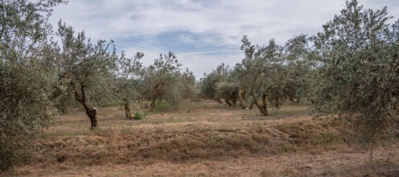 Terrain à Las Gabias, Spain 15m² No. 168892 7