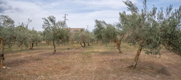 Terrain à Las Gabias, Spain 15m² No. 168892 42