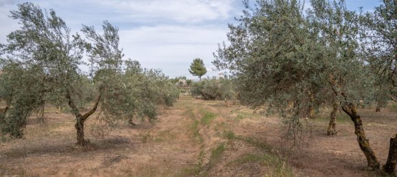 Terrain à Las Gabias, Spain 15m² No. 168892 33