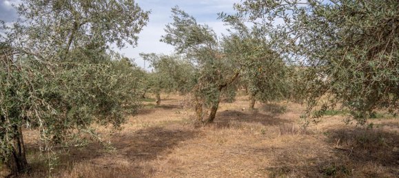 Terrain à Las Gabias, Spain 15m² No. 168892 30