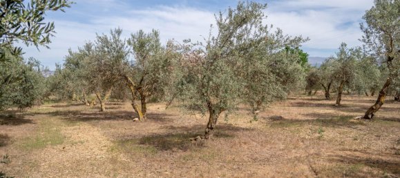 Terrain à Las Gabias, Spain 15m² No. 168892 22