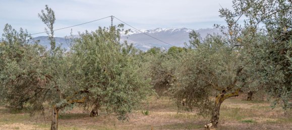 Terrain à Las Gabias, Spain 15m² No. 168892 38