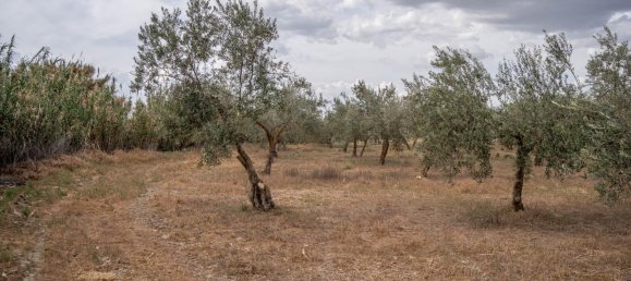 Terrain à Las Gabias, Spain 15m² No. 168892 41