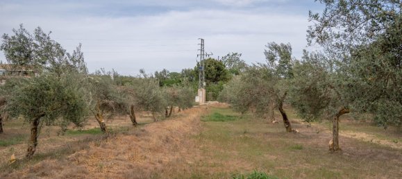 Terrain à Las Gabias, Spain 15m² No. 168892 37