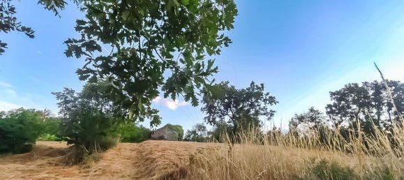 3 غرف نوم منزل في Covilha, Portugal رقم 169157 31