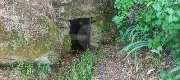 3 غرف نوم منزل في Covilha, Portugal رقم 169157 10