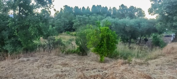 3 غرف نوم منزل في Covilha, Portugal رقم 169157 29