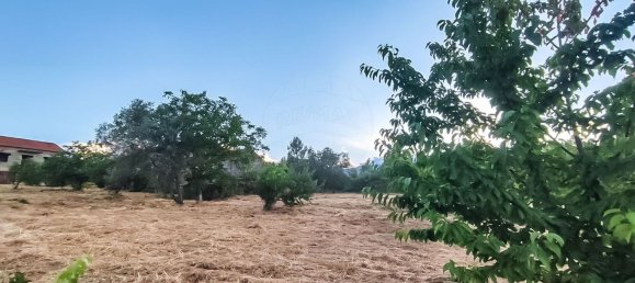 3 غرف نوم منزل في Covilha, Portugal رقم 169157 20