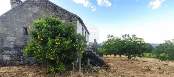 3 غرف نوم منزل في Covilha, Portugal رقم 169157 4